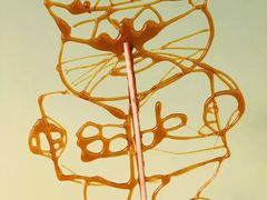 -瑞思英语·少儿英语启蒙(和平·国际商场示范校区)