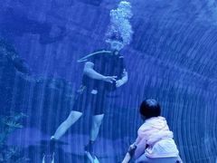 -华夏文旅海洋公园