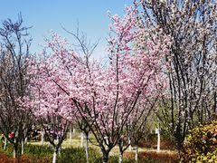 -西海岸生态观光园