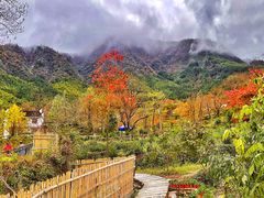 -塔川景区