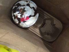 -星巴克臻选(莘庄仲盛店)