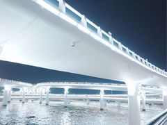 -演武大桥观景平台