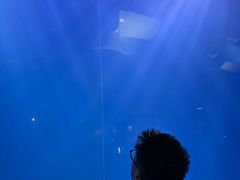 -大连圣亚海洋世界