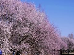 -北京奥林匹克公园