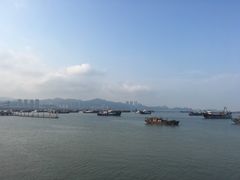 -野狸岛