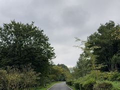 -宜兴龙背山森林公园