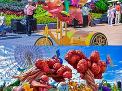 -七彩云南欢乐世界