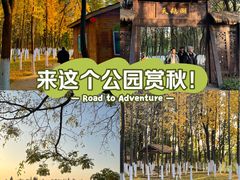 -艾溪湖湿地公园