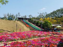 -田园寨农园观光园