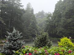 -庐山风景区花径公园