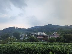 -龙井壹号·茶缘山景宴(龙井村店)