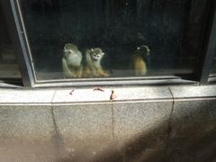 -昆明动物园