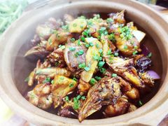 -广宁炭炉鸡煲·富临门饭店