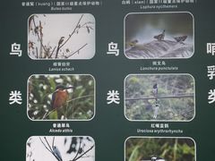 -福道