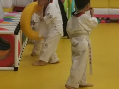 -浛道跆拳道·拳击·体适能