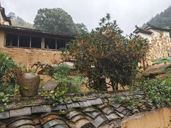 -杨家堂村