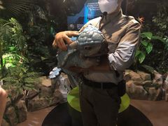 -侏罗纪世界电影特展(广州站)