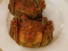 -王宝和酒家(黄浦店)