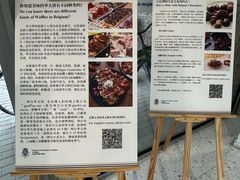 -三里屯东五街银杏大道