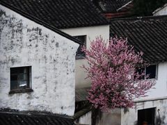 -石湖景区