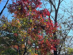 -玉渡山自然风景区