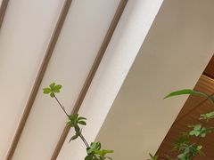 -霸王茶姬(正佳广场店)