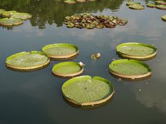 -西湖游船