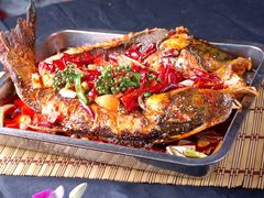 红烧鱼-新疆风味冷水鱼庄(友谊峰路店)