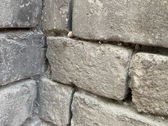 -模范书局诗空间