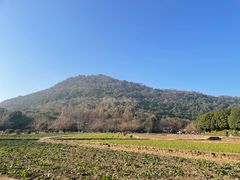 -八卦田遗址公园