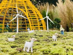 -深圳市中科院仙湖植物园