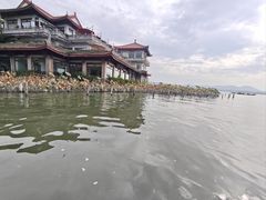 -西湖游船