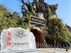 -大槐树寻根祭祖园