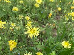 -汉长安城未央宫国家考古遗址公园