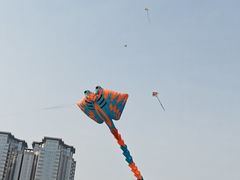 -星海广场