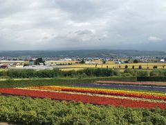 -富田农场