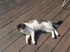 -UNIUNI(凯瑟琳广场店)