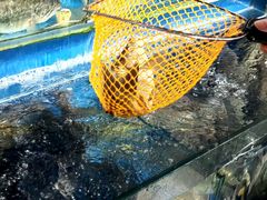 -盒马鲜生(丁香国际店)