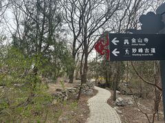 -阳台山自然风景区
