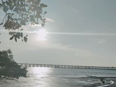 -宝安西湾红树林湿地公园