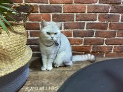 -青木造型HAIR·あおき髪を刈る潮人店