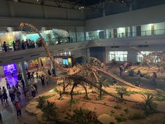 -自贡恐龙博物馆