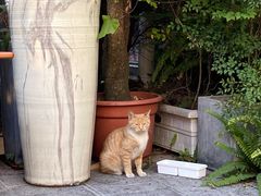 -知亘茶食