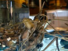 -Ministry of Crab(科伦坡店)