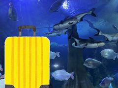 -成都浩海立方海洋公园