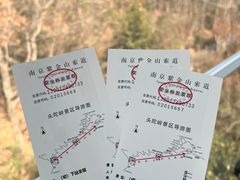 -紫金山山顶公园