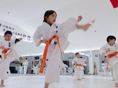 -极真空手道修远道场