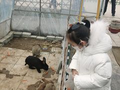 -月星环球港赢在起点早教中心·亲子托班早教体验课儿童兴趣班逻辑思维专注力幼小衔接(普陀中心)