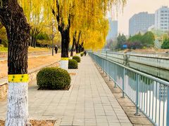 -元大都城垣遗址公园