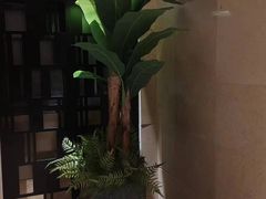 -万泊酒店(长沙五一广场国金中心店)